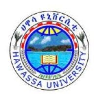 hawassa university